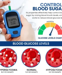 Fivfivgo™ GlucoCare Blood Sugar Control Patch