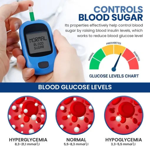 Fivfivgo™ GlucoCare Blood Sugar Control Patch