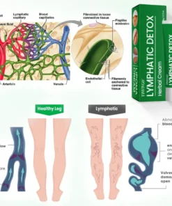 Fivfivgo® Lymphatic Detox Herbal Cream