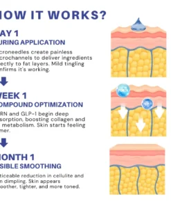 Fivfivgo® PDRN-GLP-1 Cellulite Targeting Reedle Shot Gel
